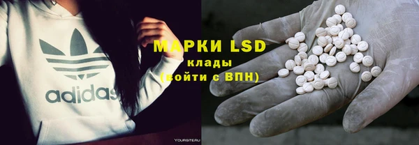 дмт Алзамай
